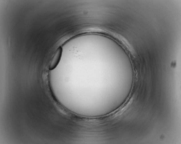 X0000102771225200808180947