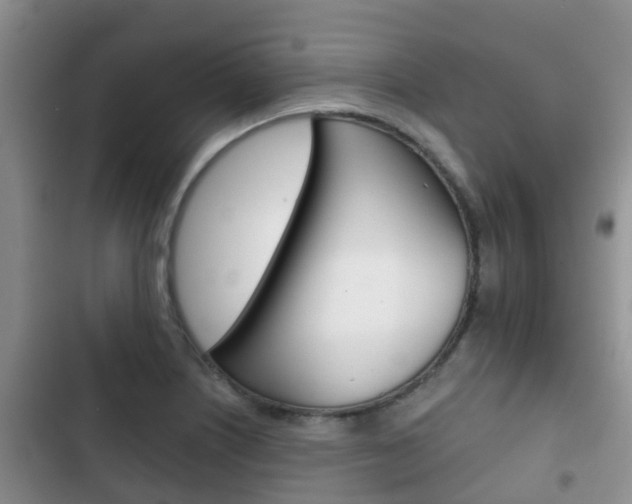 X0000102771226200808180947