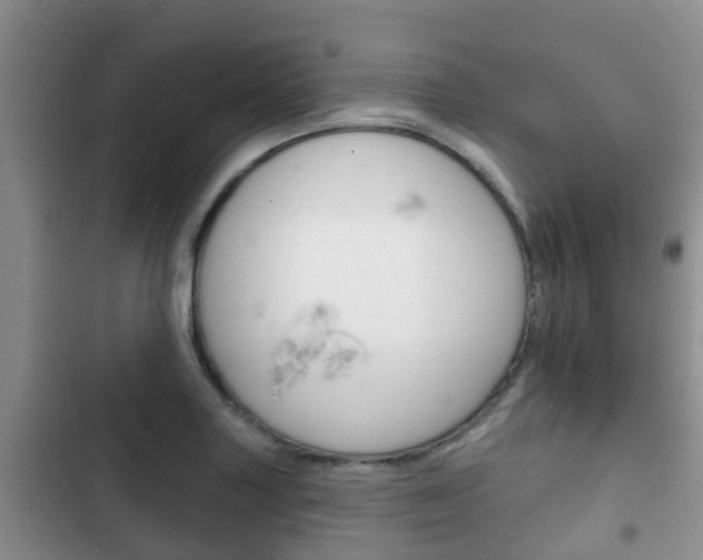 X0000102771227200808180947