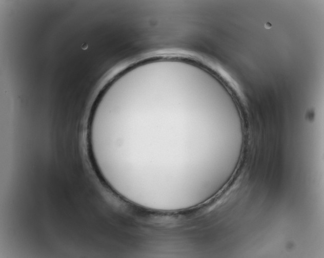 X0000102771229200808180947
