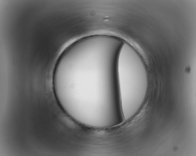 X0000102771230200808180947