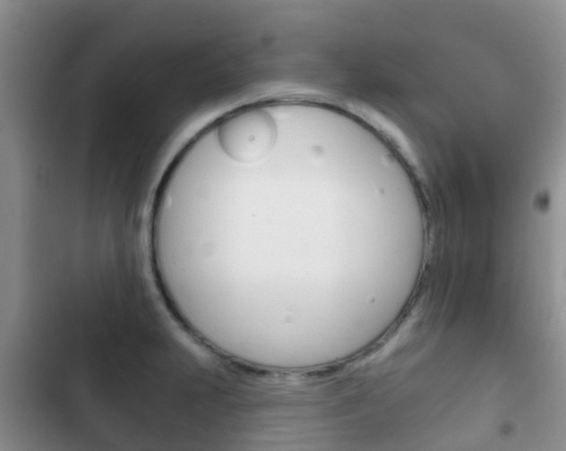 X0000102771231200808180947