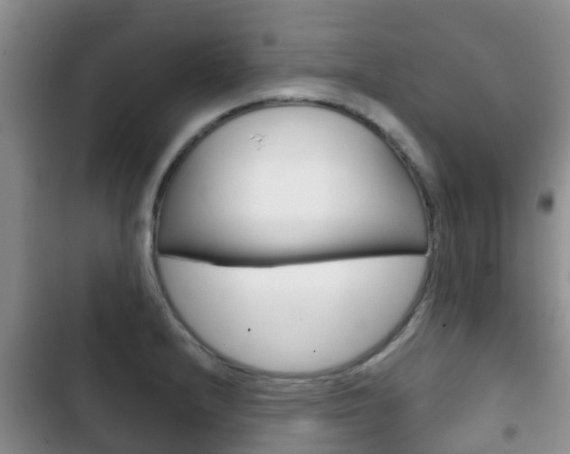 X0000102771232200808180947