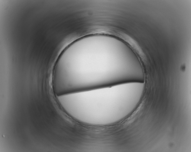 X0000102771234200808180947