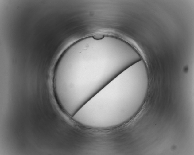 X0000102771235200808180948