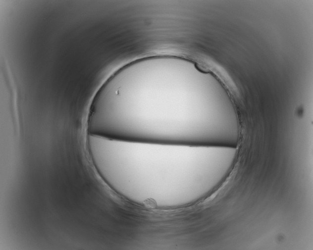 X0000102771236200808180948