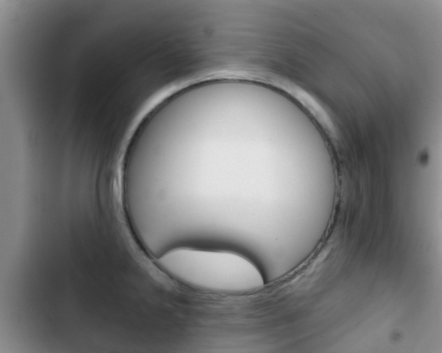 X0000102771238200808180948