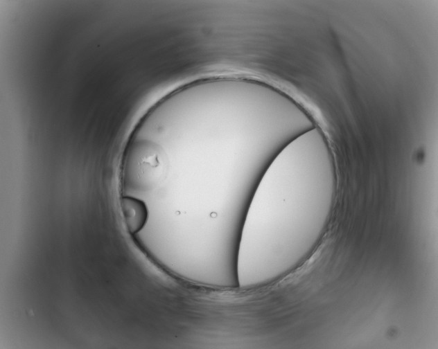 X0000102771239200808180948