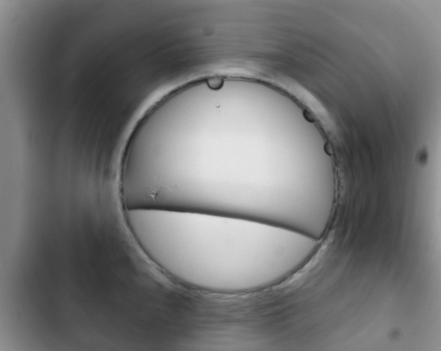 X0000102771240200808180948