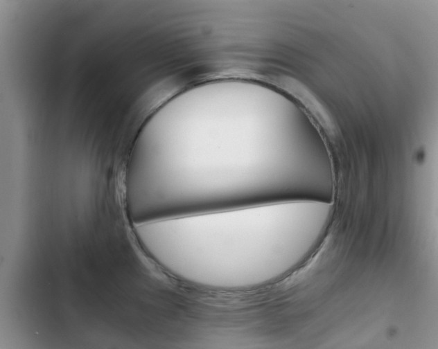 X0000102771241200808180948