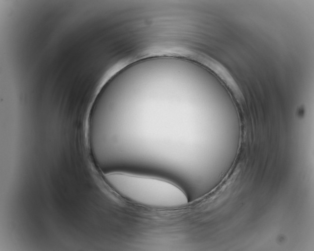 X0000102771242200808180948