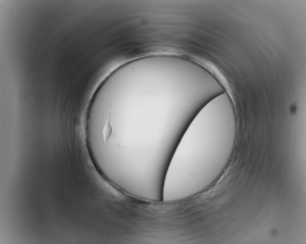 X0000102771243200808180948