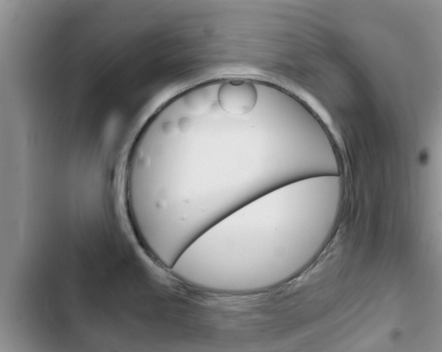 X0000102771245200808180948