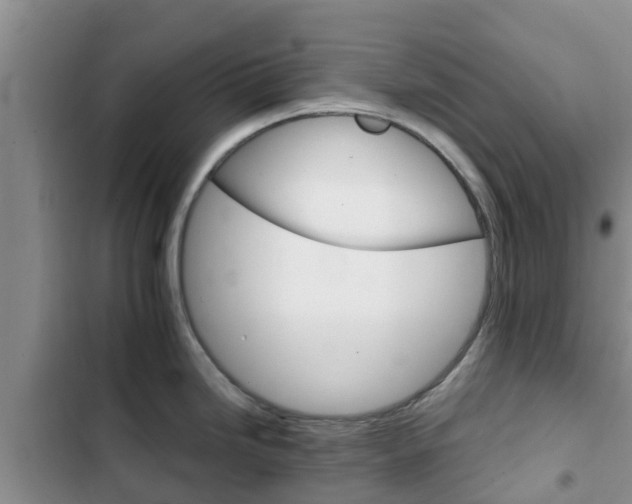 X0000102771246200808180948