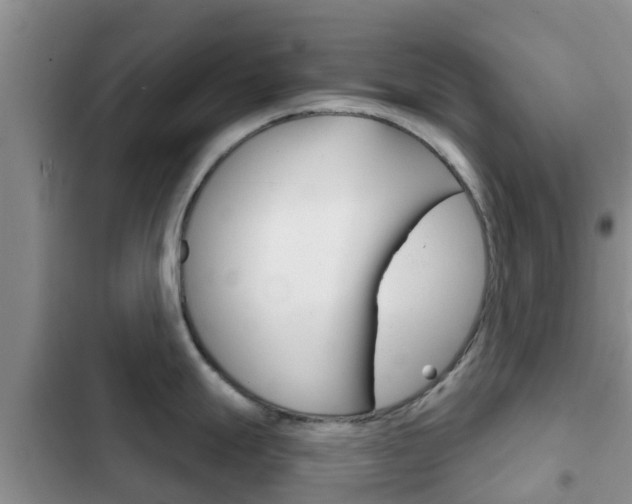 X0000102771247200808180948