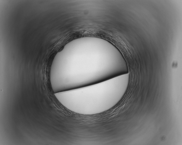 X0000102771250200808180947