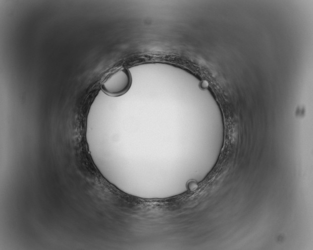 X0000102771253200808180947