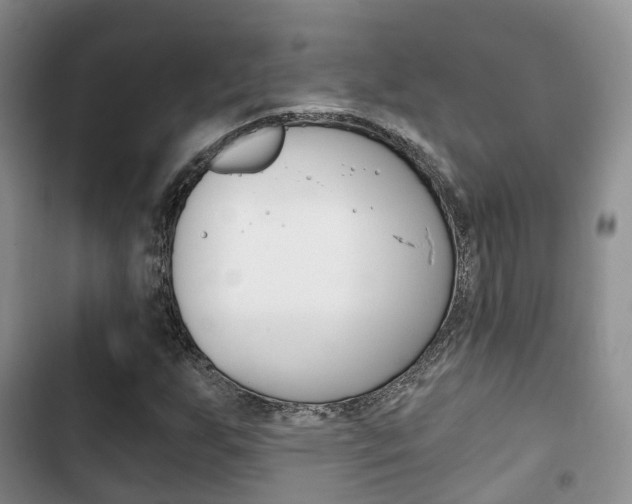 X0000102771255200808180947