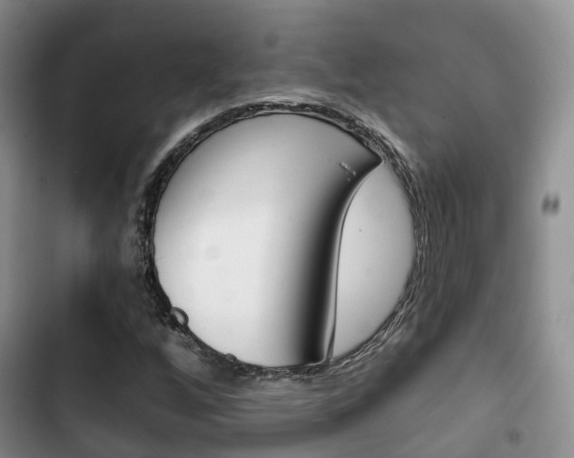 X0000102771256200808180947