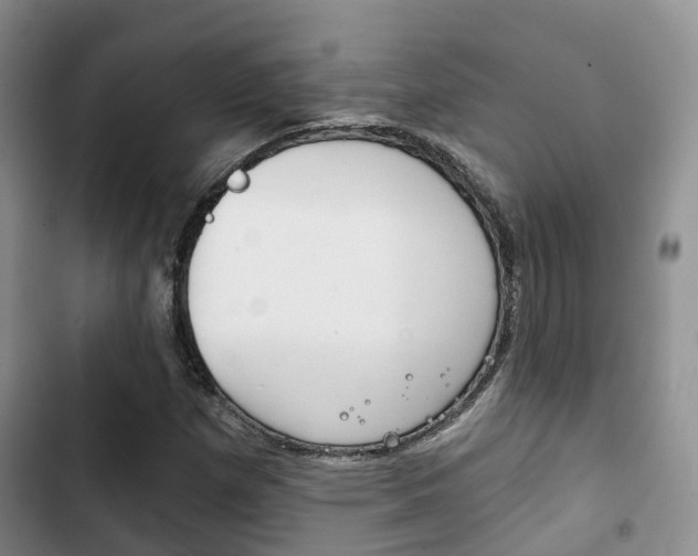 X0000102771257200808180947