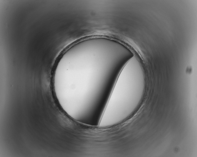 X0000102771260200808180947