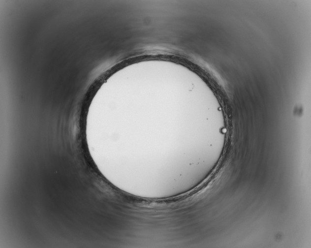 X0000102771261200808180947