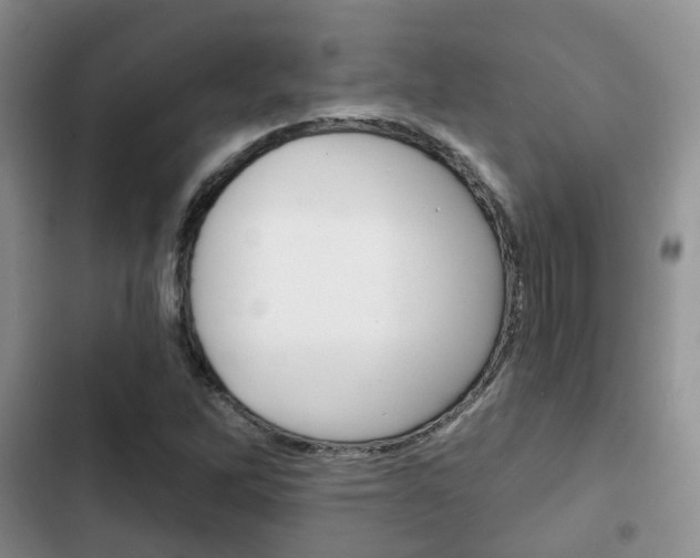 X0000102771262200808180947