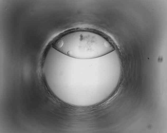 X0000102771263200808180947