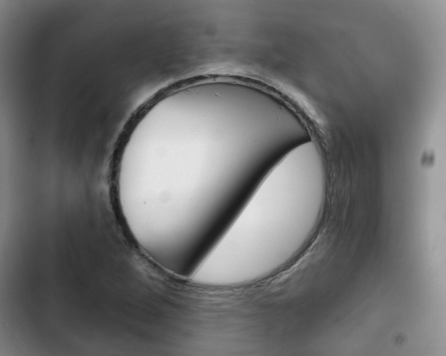 X0000102771264200808180947