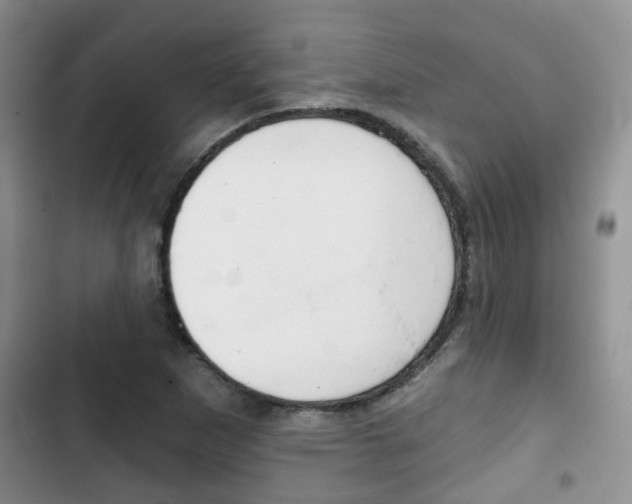 X0000102771265200808180947