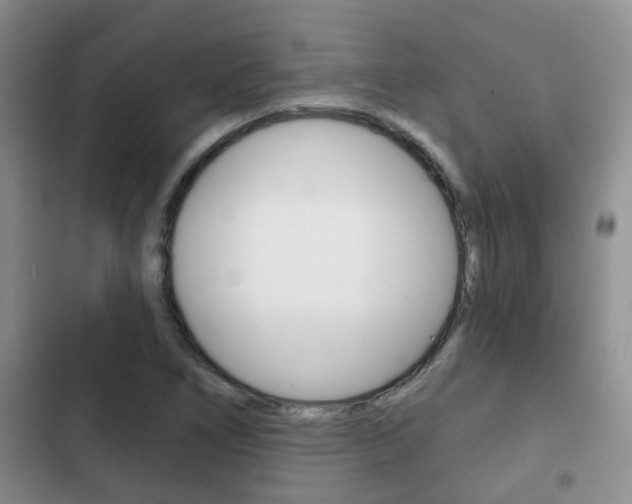 X0000102771266200808180947