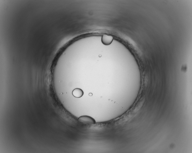 X0000102771267200808180947