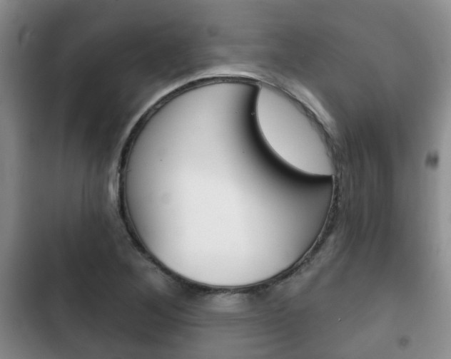 X0000102771268200808180947
