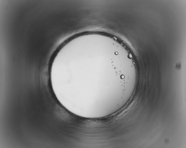 X0000102771270200808180947