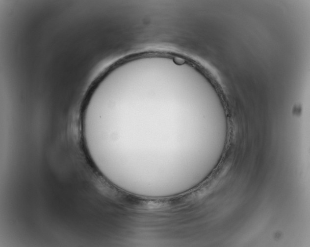 X0000102771271200808180947