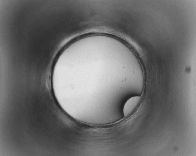 X0000102771272200808180947