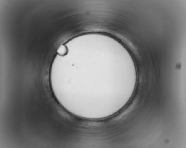X0000102771273200808180947