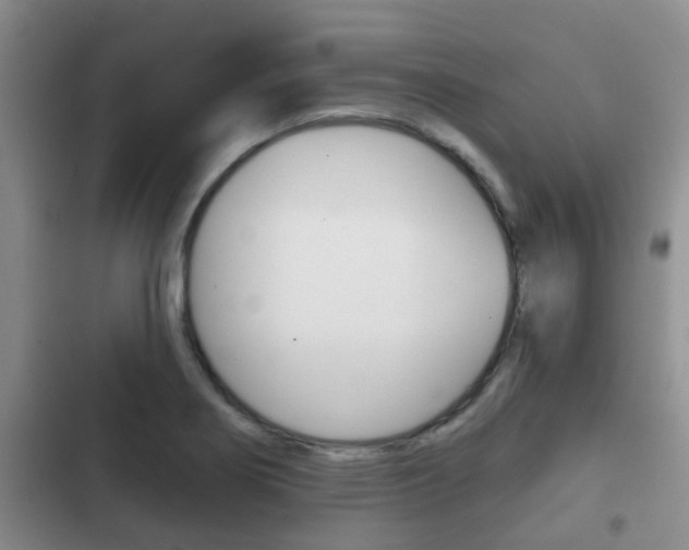 X0000102771274200808180947