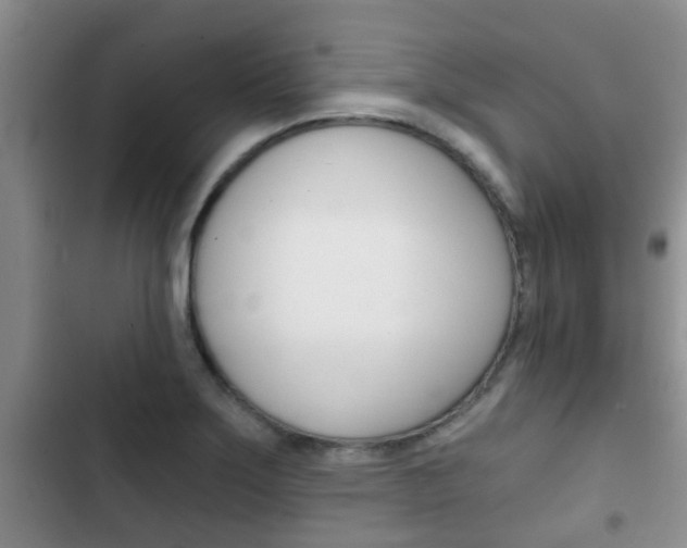 X0000102771275200808180947