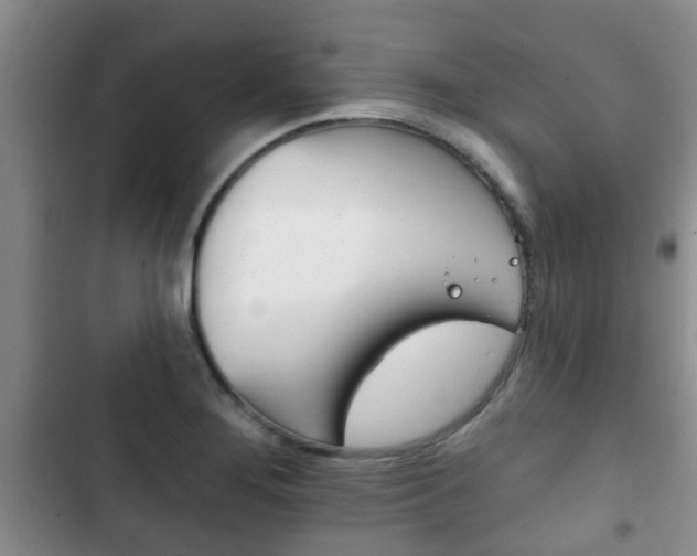 X0000102771276200808180947