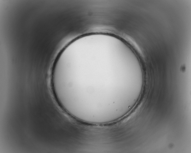 X0000102771277200808180947