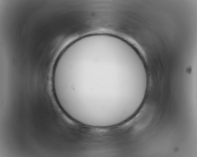 X0000102771278200808180947