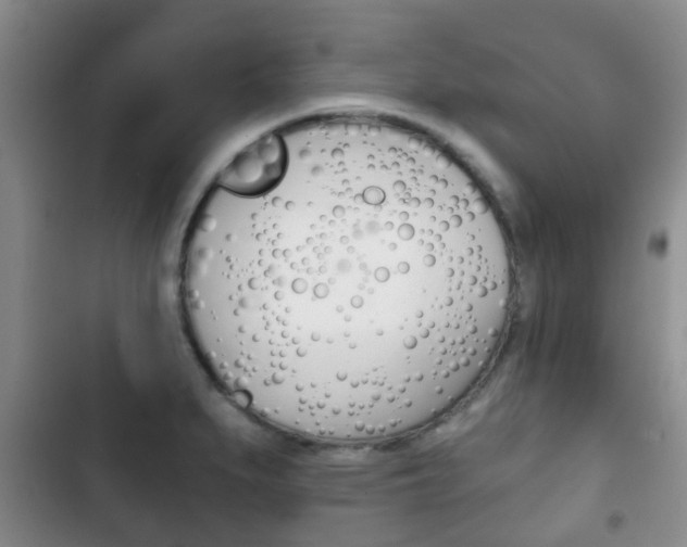 X0000102771279200808180947