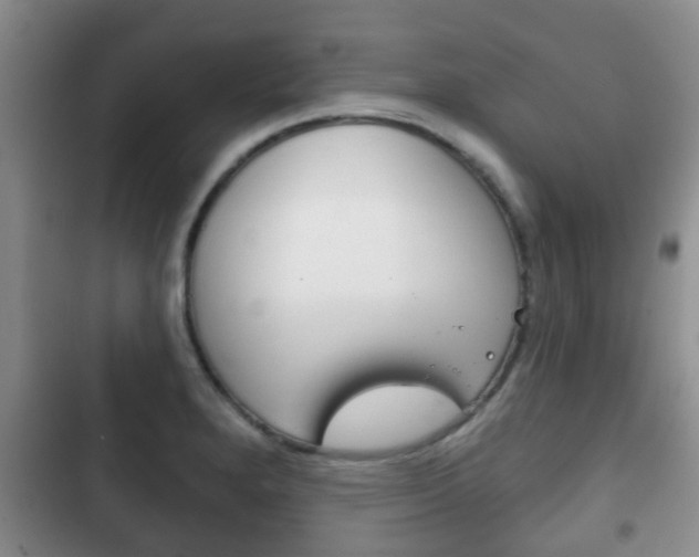 X0000102771280200808180947