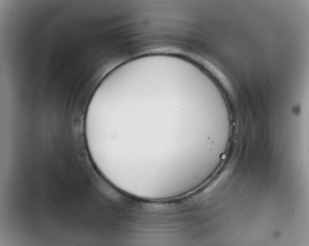 X0000102771281200808180947