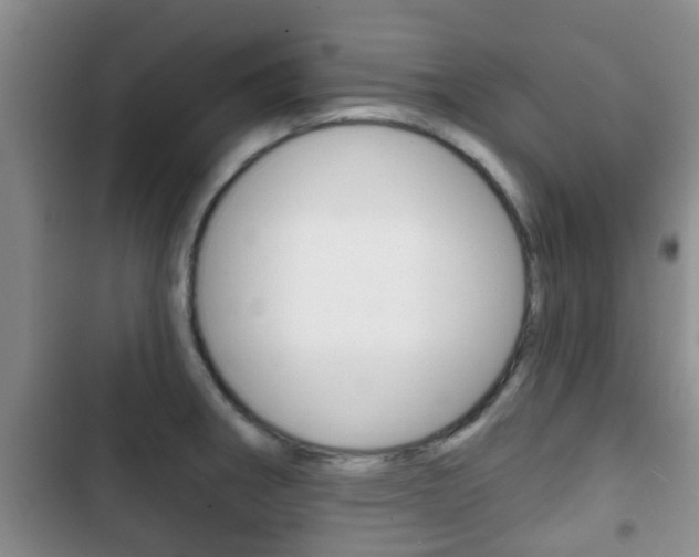 X0000102771282200808180947