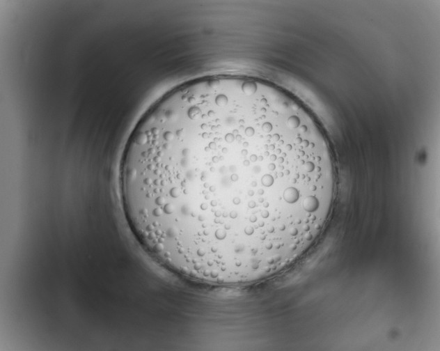 X0000102771283200808180947