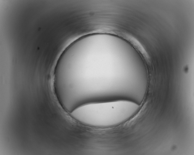 X0000102771284200808180947