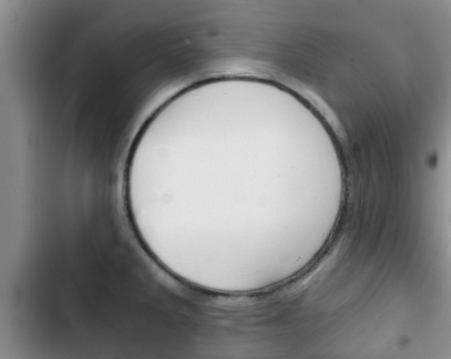 X0000102771285200808180947