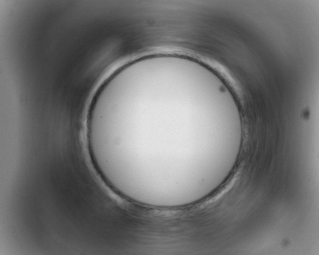 X0000102771286200808180947